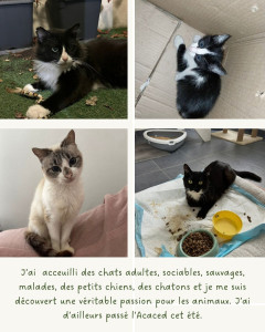 Photo de galerie - Mon histoire