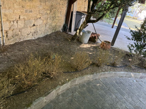 Photo de galerie - Jardinier