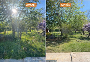 Photo de galerie - Tonte et debroussaillage 