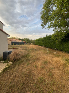 Photo de galerie - Tonte de pelouse 