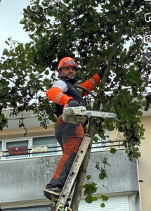 Photo de galerie - Abattage 