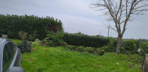 Photo de galerie - Rabattage de haie