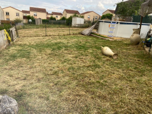 Photo de galerie - Tonte de pelouse - Débroussaillage