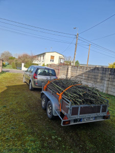 Photo de galerie -  débarrassé 