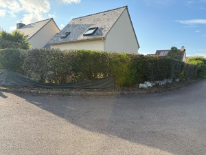 Photo de galerie - Taille de haies et d'arbustes