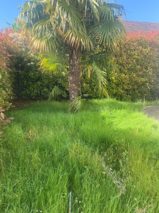 Photo de galerie - Avant 