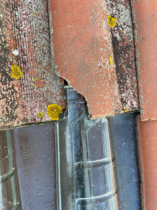 Photo de galerie - Couverture - Toiture