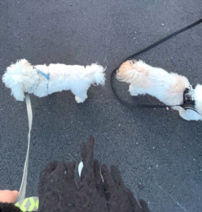 Photo de galerie - Promenade 