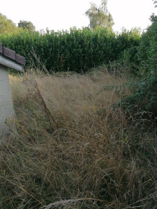 Photo de galerie - Avant