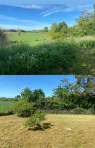 Photo de galerie - Avant après herbe très haute 