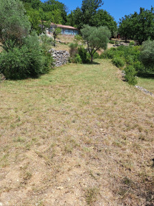 Photo de galerie - Debroussailllage 