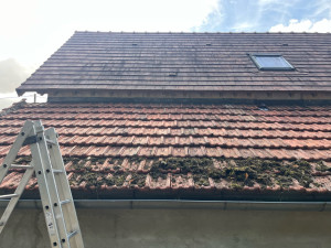 Photo de galerie - Couverture - Toiture