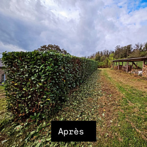 Photo de galerie - Bain-de-Bretagne 