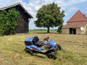 Photo de galerie - Tonte de pelouse - Débroussaillage