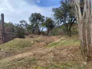 Photo de galerie - Tonte de pelouse - Débroussaillage