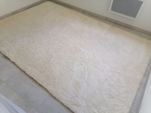 Photo de galerie - Nettoyage tapis avec Nettoyeur vapeur bissel spot clean pro 3m sur 2m 2h30 de prestation 1 couche de prélavage 3couches de produits 2 couches de rinçage et 5 couches d'aspirations. 