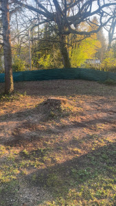 Photo de galerie - 3