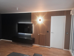 Photo de galerie -  TV miur + parquet + peinture 