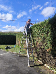 Photo de galerie - Taille de haie à grandvillars