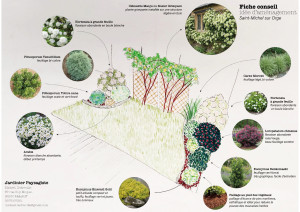 Photo de galerie - Paysagiste - Aménagement du jardin