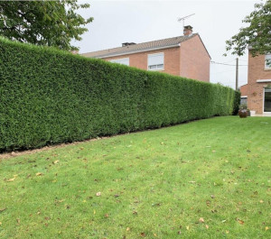 Photo de galerie - .