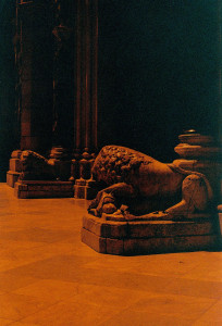 Photo de galerie - Photographe