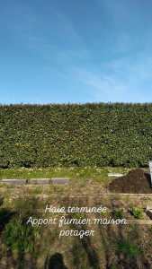 Photo de galerie - Haie 60Ml + apport fumier cheval maison pour potager 