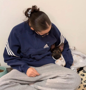 Photo de galerie - Garde chien à la journée 