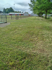Photo de galerie - Entretien bordure de stade , débroussaillage 