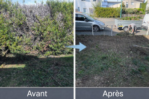 Photo de galerie - Suppression complète de haie complément cramer par le temps 