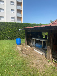 Photo de galerie - Elagage et coupe d'arbres