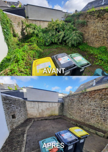 Photo de galerie - Débroussaillage et évacuation des déchets