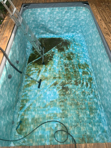 Photo de galerie - Nettoyage piscine