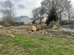 Photo de galerie - Abattage, coupe et mise en stère