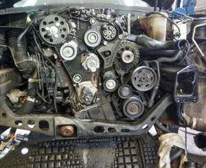 Photo de galerie - Distribution + pompe à eau Audi A4 2.0 TDI