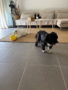 Photo de galerie - Avec Lypton 