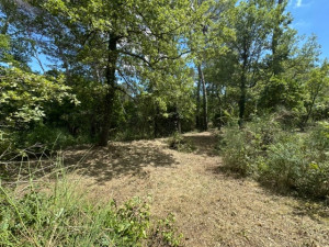 Photo de galerie - Tonte de pelouse - Débroussaillage