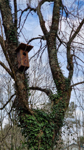 Photo de galerie - Paysagiste - Aménagement du jardin