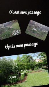 Photo de galerie - Paysagiste - Aménagement du jardin