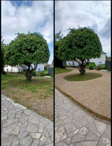 Photo de galerie - Désherbage 