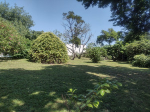 Photo de galerie - Paysagiste - Aménagement du jardin