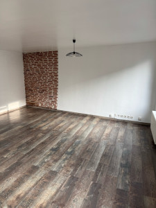 Photo de galerie - Salon refait à neuf parquet penture électricité 