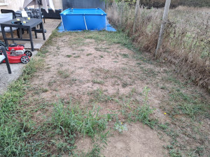 Photo de galerie - Un avant tonte 