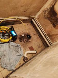 Photo de galerie - Ciseaux coupe-tout