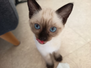 Photo de galerie - La plus mimi de tous