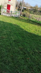 Photo de galerie - Tonte de pelouse - Débroussaillage