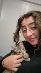 Photo de galerie - Soins réguliers auprès de chaton