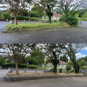 Photo de galerie - Entretien espace verts