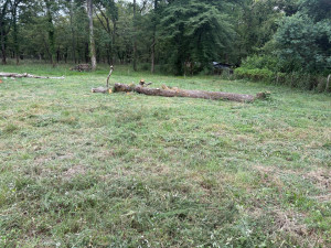 Photo de galerie - Après