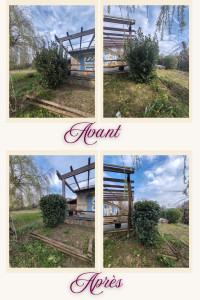 Photo de galerie - Taille de haies et d'arbustes